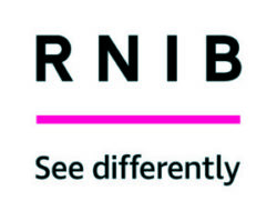 Image is the RINB logo. RNIB is in black text above a pink line. See Differntly is written underneath the pink line