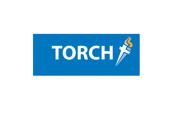 Image of Torch Trust Logo