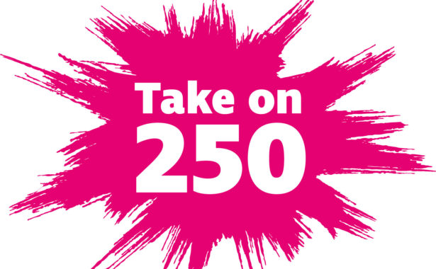 Take on 250 logo with pink splash in the background.