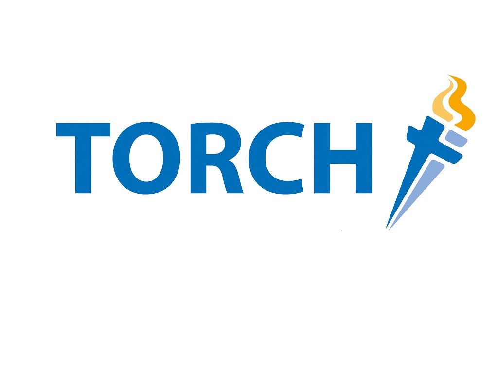 Torch Trust Logo