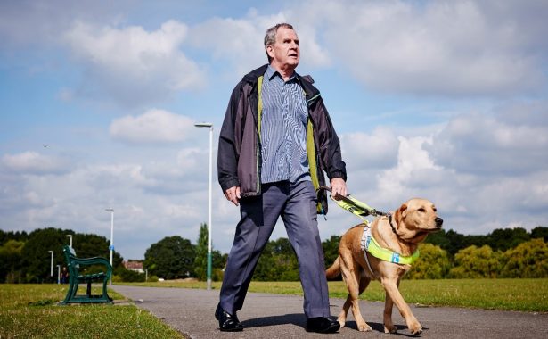 A man walking with a guide dog with grass on either side of the path, trees in the background and clouds in the blue sky.