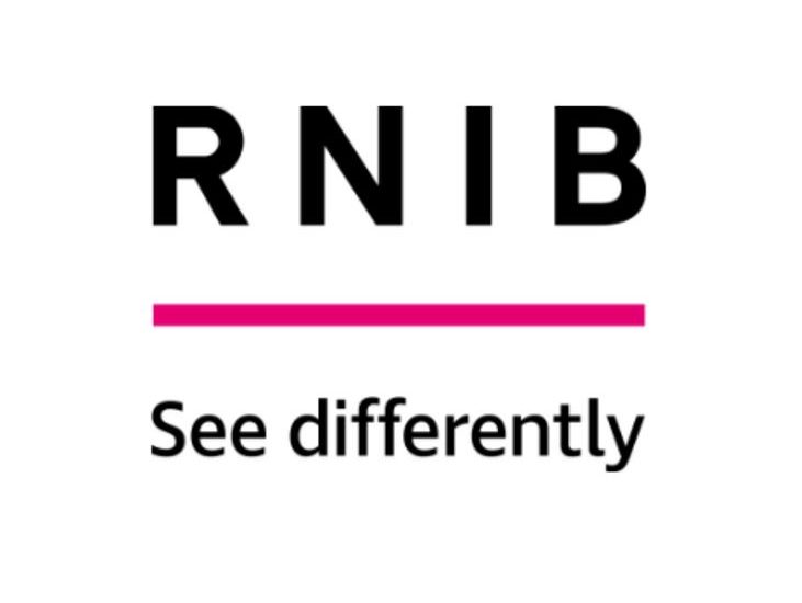 RINB logo. RNIB is in black text above a pink line. See Differntly is written underneath the pink line