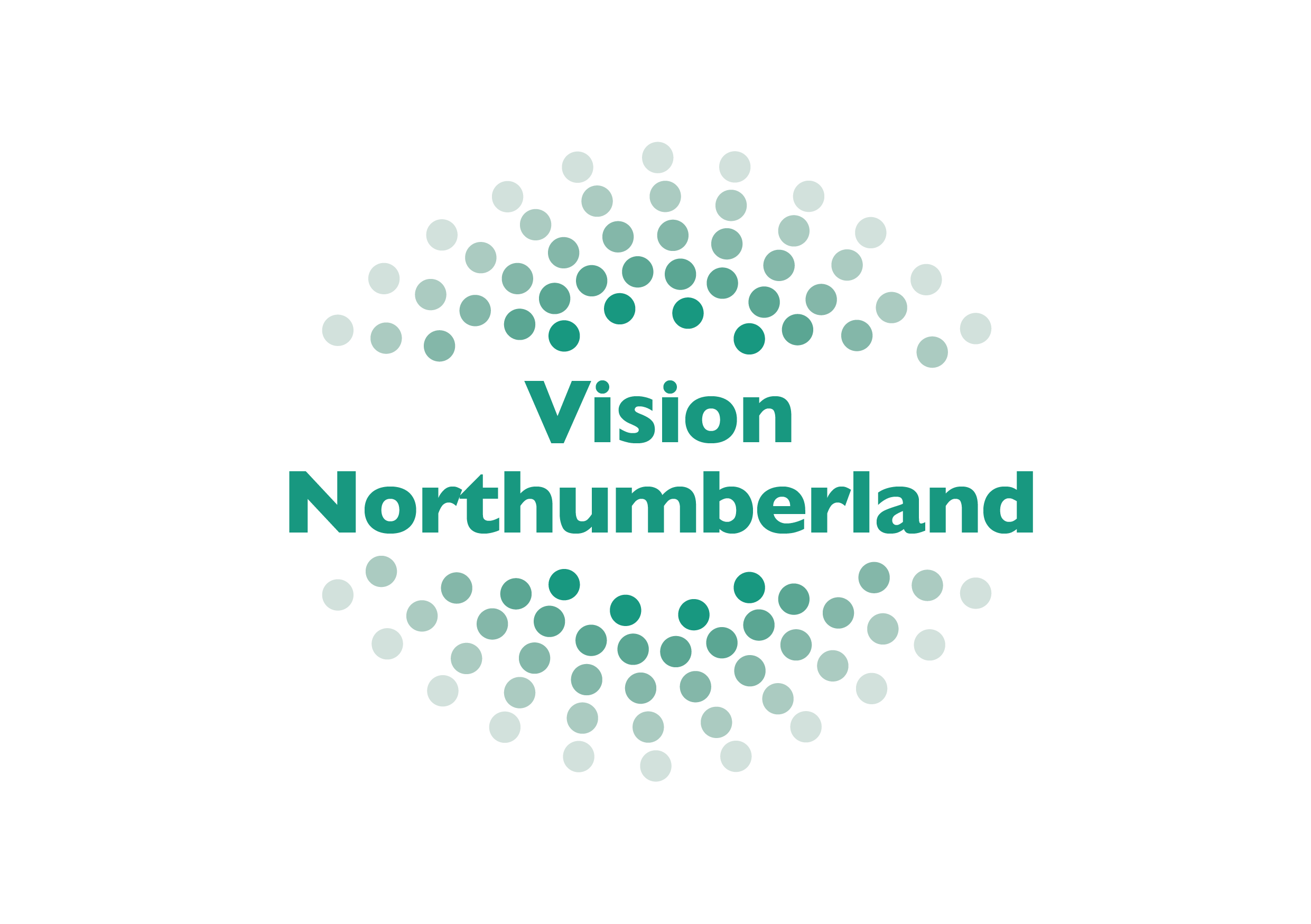 Vision Northumberland Logo