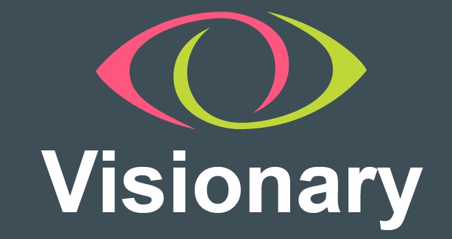 Visionary logo on a grey background. Above the word "Visionary" is a stylised eye with one section in lime green and one section in pink.