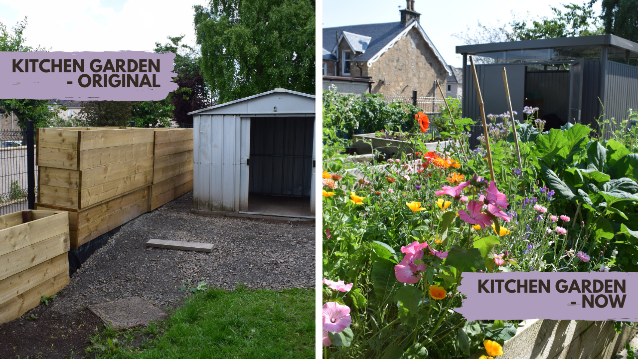 Garden photo before on the left with an old white shed, gravel and some grass and empty wooden garden planters piled up on the left. Garden after photo on the right has blooming, colourful variety of flowers and a grey shed in the background.